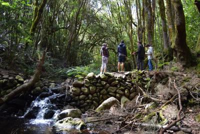 Combined Hiking Route in The Garajonay National Park and La Gomera Ravines Combined Hiking Route in The Garajonay National Park and La Gomera Ravines