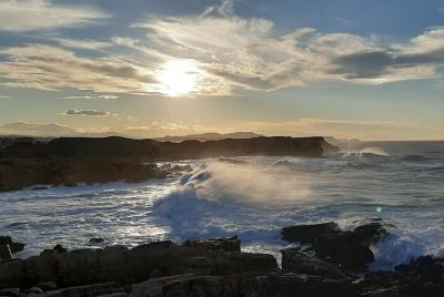 Full Day Tour in Santillana del Mar and Comillas Full Day Tour in Santillana del Mar and Comillas