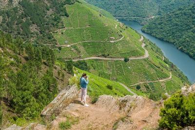 Ribeira Sacra, "Heroic Wines" Private Tour from Santiago Ribeira Sacra,