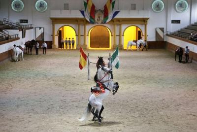 Equestrian Show and Winery in Jerez from Seville Equestrian Show and Winery in Jerez from Seville