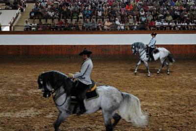 Full-day Jerez and Cadiz from Seville, with Horse Ballet and Sherry Tasting Full-day Jerez and Cadiz from Seville, with Horse Ballet and Sherry Tasting