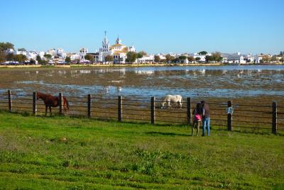 Doñana National Park in 4x4 and El Rocío Doñana National Park in 4x4 and El Rocío