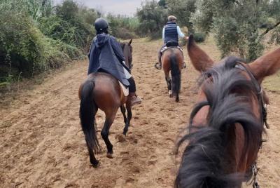 From Seville: 2-Hour Horseback Riding Experience in Aljarafe, Doñana park From Seville: 2-Hour Horseback Riding Experience in Aljarafe, Doñana park