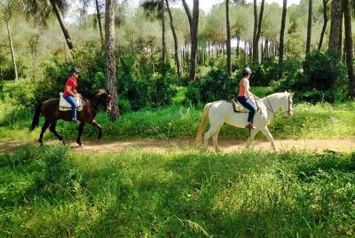 Horse Riding Excursion from Seville Horse Riding Excursion from Seville