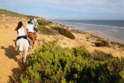 Donana National Park Horse or 4x4 Riding Day Trip Donana National Park Horse or 4x4 Riding Day Trip