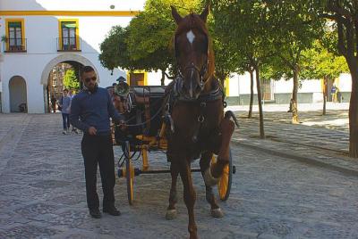 LUXExperience - Horse & Cava Car