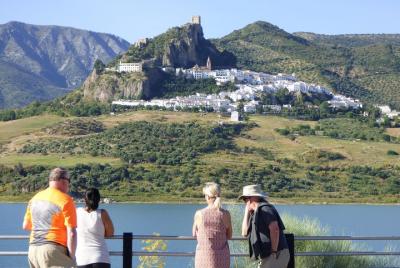 2 Excursions from Seville: White Villages and Ronda + Doñana 4x4 2 Excursions from Seville: White Villages and Ronda + Doñana 4x4