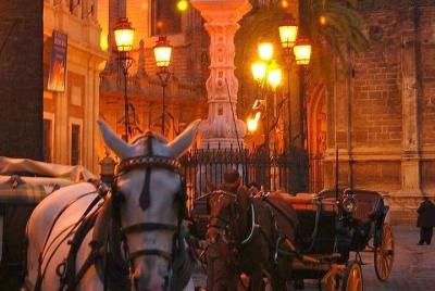 Horse and Buggy Ride in Seville with guide Horse and Buggy Ride in Seville with guide