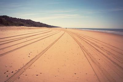 Doñana Natural Park Full-Day Tour from Seville Doñana Natural Park Full-Day Tour from Seville