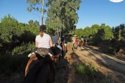 Andalusian Countryside Private Day Trip from Seville