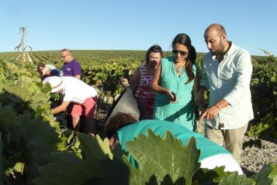 Full Day Private Sherry Wine Experience from Seville