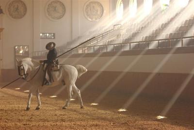 From Seville: Jerez Private Day Trip with Horse Show & Sherry Winery