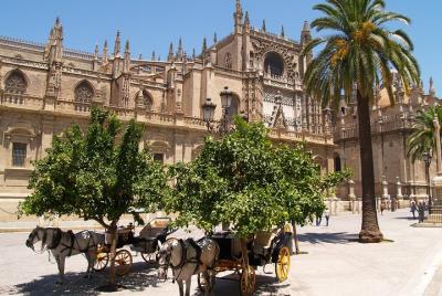 Cathedral, Alcazar and Giralda Guided Tour (Tickets included &Pri