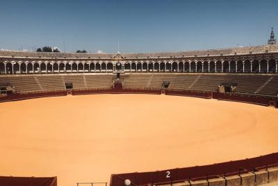 Seville bullring, guided tour, direct entry and small group