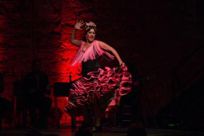 Jerez Flamenco Day Trip from Seville