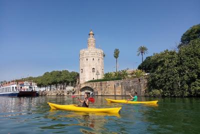Kayak Guided Tours
