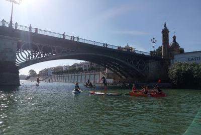 Guided paddle surf routes