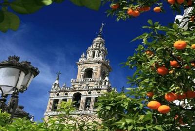 Santa Cruz Quarter and Cathedral Guided Day Tour in Seville