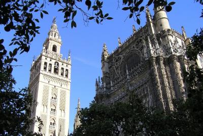 Private Tour: Seville City Tour (Cathedral, Royal Alcázar and Santa Cruz) Private Tour: Seville City Tour (Cathedral, Royal Alcázar and Santa Cruz)