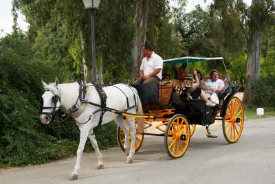 Private Tour: Horse-Drawn Carriage Ride Through Seville