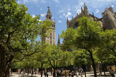 Seville, walk through the heart of the city