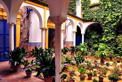 Santa Cruz Guided Walking Tour in Seville