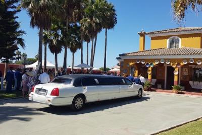 Seville with glamor (private tour)