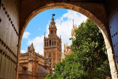 Small-Group Bike Tour Highlights of Seville