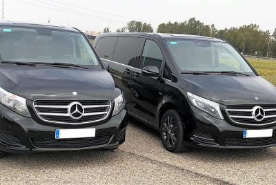 One-way transfer by minivan from Seville Airport to hotel in Seville Center One-way transfer by minivan from Seville Airport to hotel in Seville Center
