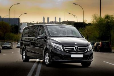 Seville by Yourself with English Chauffeur by Luxury Van - 4 or 8 hrs disposal