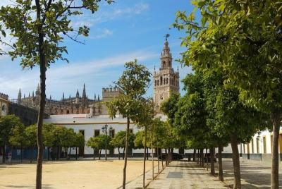 Essential Private Walking Tour of Seville