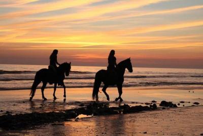 Horseback Riding in Tarifa, Spain Horseback Riding in Tarifa, Spain