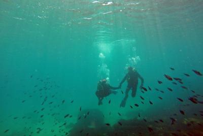 Baptism of diving in the Natural Park of the Strait Baptism of diving in the Natural Park of the Strait