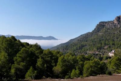 Tarragona, Ruins & Priorat -Reduced group hotel pick-up From Salo Tarragona, Ruins & Priorat -Reduced group hotel pick-up From Salo