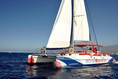 3-hour Whale and Dolphin Watching and Listening Tour  3-hour Whale and Dolphin Watching and Listening Tour