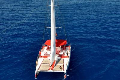 Watching and listening whales and dolphins in Tenerife