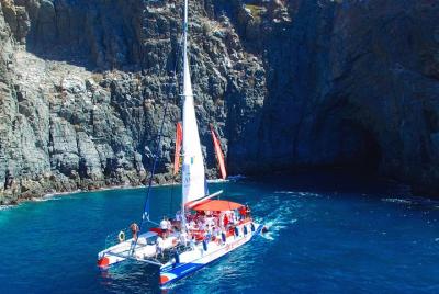 5 hrs. Whale Watching and Listening Eco Catamaran Tour with Food  5 hrs. Whale Watching and Listening Eco Catamaran Tour with Food