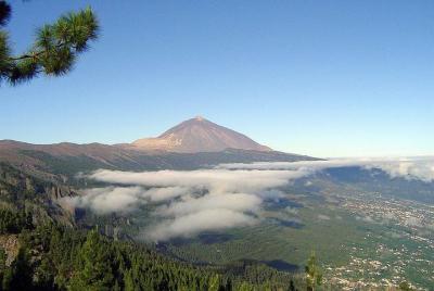 Essential Tenerife and Teide Shore Excursion (non private)