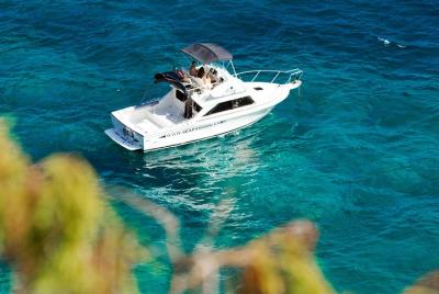 Sea Passion Tenerife Whalewatching and fishing Enjoy of the natur