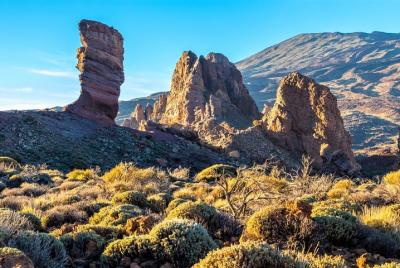 Masca Teide Comfort (Max 7 pax)From South to North,a journey thro