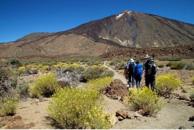Hiking trail Pico Teide with permission and guide in Tenerife