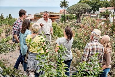 VIP Island Tour from South Tenerife VIP Island Tour from South Tenerife