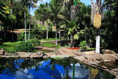 Skip the Line: Palmetum Botanical Garden in Santa Cruz de Tenerife - Ticket