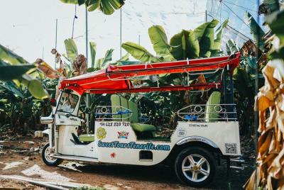 Banana Plantation and a Farm by Tuk Tuk from Costa Adeje