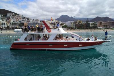 Whale Watching from Santa Cruz de Tenerife