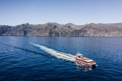 Royal Delfin - 4 Royal Delfin - 4'5H Dolphin & Whale Watching - Los Gigantes Masca
