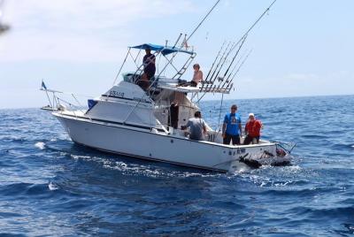 4-Hour Shared Fishing Charter in Tenerife 4-Hour Shared Fishing Charter in Tenerife