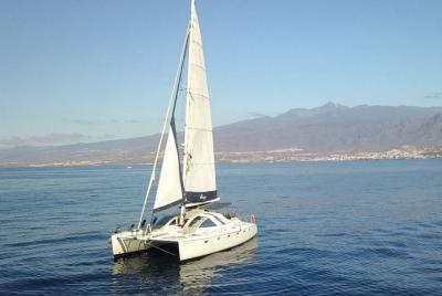 Whale Watching and Relaxing Boat Trip with Lunch 