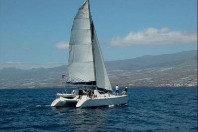 Prestigious Catamaran Cruise with Open Bar
