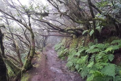 North of Tenerife La Laguna - Anaga